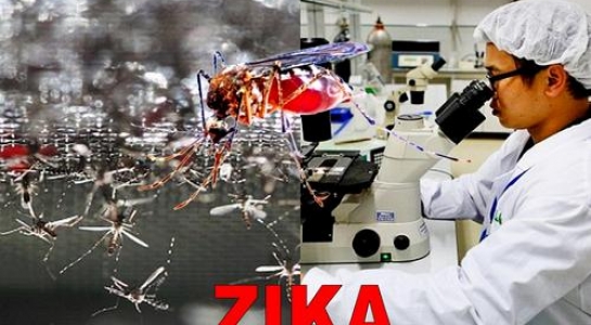 Diet_Zika
